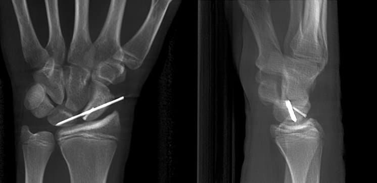 3D-Diagnostik & Bildgebung