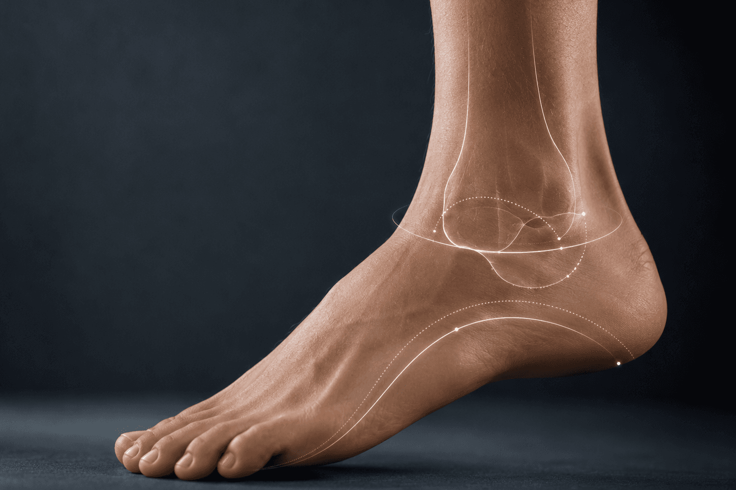Fuß & Sprunggelenk